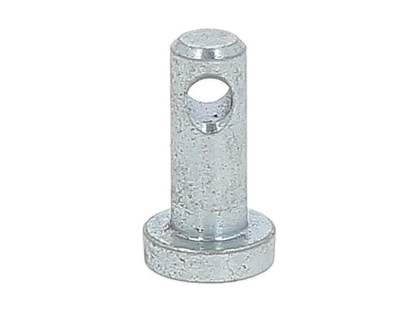 Brake cam spring bolt