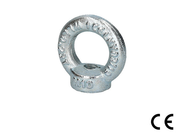 Lifting Eye Nut, DIN582, WLL 230Kg, M10