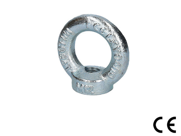 Lifting Eye Nut, DIN582, WLL 340Kg, M12