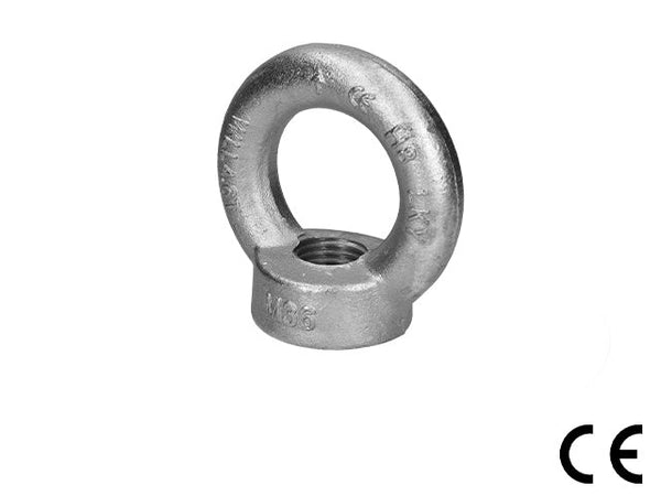 Lifting Eye Nut, DIN582, WLL 5100Kg, M36
